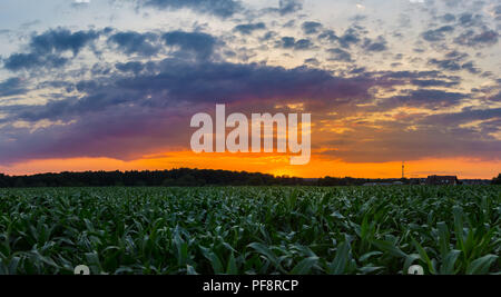 Deutschland, extrem bunten Sonnenuntergang Himmel hinter grünen Felder und Fernsehturm Stuttgart Stockfoto