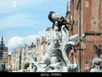 Die Nahaufnahme des 17. Jahrhunderts Neptunbrunnen Details mit einer Taube (Gdansk, Polen). Stockfoto