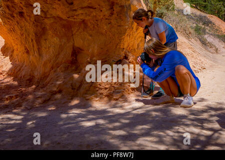BRYCE Canyon, Utah, Juni, 07, 2018: Nicht identifizierte Frauen, die Bilder von einem wunderschönen Golden-mantled ground squirrel in Bryce Canyon National Park, Utah Stockfoto