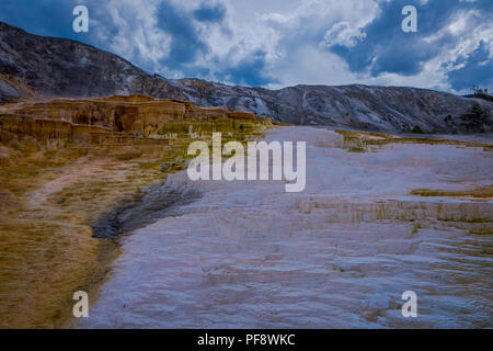 Abwechslungsreiches warmes Frühjahr thermische Farben - Mammoth Hot Springs, Yellowstone s nur größere thermische Umgebung auch außerhalb der Caldera. Die Terrassen ändern sich manchmal bemerkbar innerhalb eines Tages Stockfoto