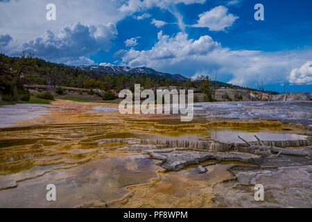 Mesa rock Muster an mamoth heißen Quellen im Yellowstone National Park, im schönen, sonnigen Tag und blauer Himmel Stockfoto