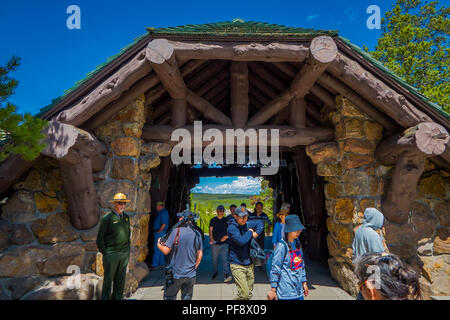 YELLOWSTONE, Montana, USA JUNI 02, 2018: unbekannte Menschen zu Fuß in einem hölzernen Pfad zu den Geysiren und Bäumen. Zurück Becken von Norris Geyser Basin. Yellowstone Nationalpark, Wyoming Stockfoto