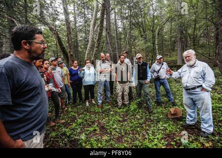 Erinnerung an Paul Martin ..... ............... ............... De expedición Entdeckung Madrense GreaterGood ORG que recaba datos que Syrvaine como Información de Direct para entender mejor las Relaciones biológicas del Archipiélago Madrense y se Usan para proteger y conservar las Tierras de las Islas vírgenes Sonorenses Serranas. Binacional Expedición aye une ein colaboradores de México y Estados Unidos con Experiencias y Especialidades de las Ciencias biológicas variadas, con la intención de aprender Lo más posible sobre Mesa de Tres Ríos, La porción más norteña de la Sierra Madre O Stockfoto