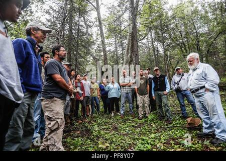 Erinnerung an Paul Martin ..... ............... ............... De expedición Entdeckung Madrense GreaterGood ORG que recaba datos que Syrvaine como Información de Direct para entender mejor las Relaciones biológicas del Archipiélago Madrense y se Usan para proteger y conservar las Tierras de las Islas vírgenes Sonorenses Serranas. Binacional Expedición aye une ein colaboradores de México y Estados Unidos con Experiencias y Especialidades de las Ciencias biológicas variadas, con la intención de aprender Lo más posible sobre Mesa de Tres Ríos, La porción más norteña de la Sierra Madre O Stockfoto