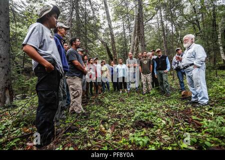 Erinnerung an Paul Martin ..... ............... ............... De expedición Entdeckung Madrense GreaterGood ORG que recaba datos que Syrvaine como Información de Direct para entender mejor las Relaciones biológicas del Archipiélago Madrense y se Usan para proteger y conservar las Tierras de las Islas vírgenes Sonorenses Serranas. Binacional Expedición aye une ein colaboradores de México y Estados Unidos con Experiencias y Especialidades de las Ciencias biológicas variadas, con la intención de aprender Lo más posible sobre Mesa de Tres Ríos, La porción más norteña de la Sierra Madre O Stockfoto