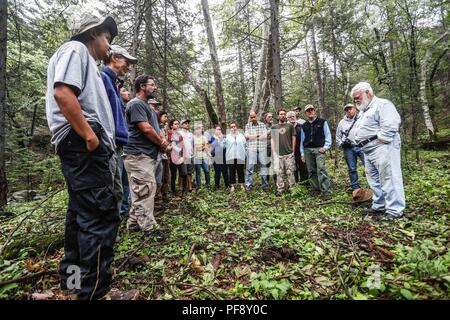 Erinnerung an Paul Martin ..... ............... ............... De expedición Entdeckung Madrense GreaterGood ORG que recaba datos que Syrvaine como Información de Direct para entender mejor las Relaciones biológicas del Archipiélago Madrense y se Usan para proteger y conservar las Tierras de las Islas vírgenes Sonorenses Serranas. Binacional Expedición aye une ein colaboradores de México y Estados Unidos con Experiencias y Especialidades de las Ciencias biológicas variadas, con la intención de aprender Lo más posible sobre Mesa de Tres Ríos, La porción más norteña de la Sierra Madre O Stockfoto