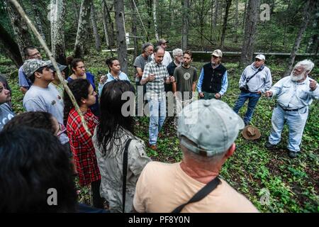 Erinnerung an Paul Martin ..... ............... ............... De expedición Entdeckung Madrense GreaterGood ORG que recaba datos que Syrvaine como Información de Direct para entender mejor las Relaciones biológicas del Archipiélago Madrense y se Usan para proteger y conservar las Tierras de las Islas vírgenes Sonorenses Serranas. Binacional Expedición aye une ein colaboradores de México y Estados Unidos con Experiencias y Especialidades de las Ciencias biológicas variadas, con la intención de aprender Lo más posible sobre Mesa de Tres Ríos, La porción más norteña de la Sierra Madre O Stockfoto