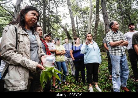 Erinnerung an Paul Martin ..... ............... ............... De expedición Entdeckung Madrense GreaterGood ORG que recaba datos que Syrvaine como Información de Direct para entender mejor las Relaciones biológicas del Archipiélago Madrense y se Usan para proteger y conservar las Tierras de las Islas vírgenes Sonorenses Serranas. Binacional Expedición aye une ein colaboradores de México y Estados Unidos con Experiencias y Especialidades de las Ciencias biológicas variadas, con la intención de aprender Lo más posible sobre Mesa de Tres Ríos, La porción más norteña de la Sierra Madre O Stockfoto