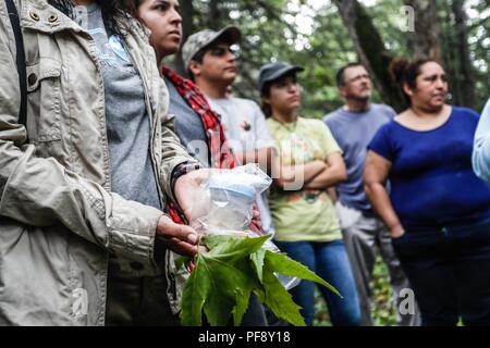 Erinnerung an Paul Martin ..... ............... ............... De expedición Entdeckung Madrense GreaterGood ORG que recaba datos que Syrvaine como Información de Direct para entender mejor las Relaciones biológicas del Archipiélago Madrense y se Usan para proteger y conservar las Tierras de las Islas vírgenes Sonorenses Serranas. Binacional Expedición aye une ein colaboradores de México y Estados Unidos con Experiencias y Especialidades de las Ciencias biológicas variadas, con la intención de aprender Lo más posible sobre Mesa de Tres Ríos, La porción más norteña de la Sierra Madre O Stockfoto