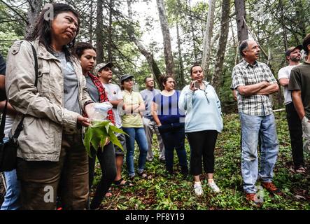 Erinnerung an Paul Martin ..... ............... ............... De expedición Entdeckung Madrense GreaterGood ORG que recaba datos que Syrvaine como Información de Direct para entender mejor las Relaciones biológicas del Archipiélago Madrense y se Usan para proteger y conservar las Tierras de las Islas vírgenes Sonorenses Serranas. Binacional Expedición aye une ein colaboradores de México y Estados Unidos con Experiencias y Especialidades de las Ciencias biológicas variadas, con la intención de aprender Lo más posible sobre Mesa de Tres Ríos, La porción más norteña de la Sierra Madre O Stockfoto
