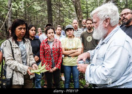 Erinnerung an Paul Martin ..... ............... ............... De expedición Entdeckung Madrense GreaterGood ORG que recaba datos que Syrvaine como Información de Direct para entender mejor las Relaciones biológicas del Archipiélago Madrense y se Usan para proteger y conservar las Tierras de las Islas vírgenes Sonorenses Serranas. Binacional Expedición aye une ein colaboradores de México y Estados Unidos con Experiencias y Especialidades de las Ciencias biológicas variadas, con la intención de aprender Lo más posible sobre Mesa de Tres Ríos, La porción más norteña de la Sierra Madre O Stockfoto