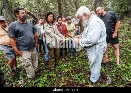 Erinnerung an Paul Martin ..... ............... ............... De expedición Entdeckung Madrense GreaterGood ORG que recaba datos que Syrvaine como Información de Direct para entender mejor las Relaciones biológicas del Archipiélago Madrense y se Usan para proteger y conservar las Tierras de las Islas vírgenes Sonorenses Serranas. Binacional Expedición aye une ein colaboradores de México y Estados Unidos con Experiencias y Especialidades de las Ciencias biológicas variadas, con la intención de aprender Lo más posible sobre Mesa de Tres Ríos, La porción más norteña de la Sierra Madre O Stockfoto