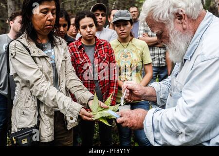 Erinnerung an Paul Martin ..... ............... ............... De expedición Entdeckung Madrense GreaterGood ORG que recaba datos que Syrvaine como Información de Direct para entender mejor las Relaciones biológicas del Archipiélago Madrense y se Usan para proteger y conservar las Tierras de las Islas vírgenes Sonorenses Serranas. Binacional Expedición aye une ein colaboradores de México y Estados Unidos con Experiencias y Especialidades de las Ciencias biológicas variadas, con la intención de aprender Lo más posible sobre Mesa de Tres Ríos, La porción más norteña de la Sierra Madre O Stockfoto