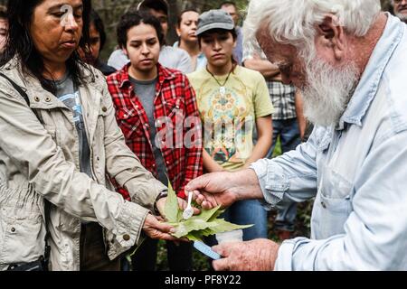 Erinnerung an Paul Martin ..... ............... ............... De expedición Entdeckung Madrense GreaterGood ORG que recaba datos que Syrvaine como Información de Direct para entender mejor las Relaciones biológicas del Archipiélago Madrense y se Usan para proteger y conservar las Tierras de las Islas vírgenes Sonorenses Serranas. Binacional Expedición aye une ein colaboradores de México y Estados Unidos con Experiencias y Especialidades de las Ciencias biológicas variadas, con la intención de aprender Lo más posible sobre Mesa de Tres Ríos, La porción más norteña de la Sierra Madre O Stockfoto
