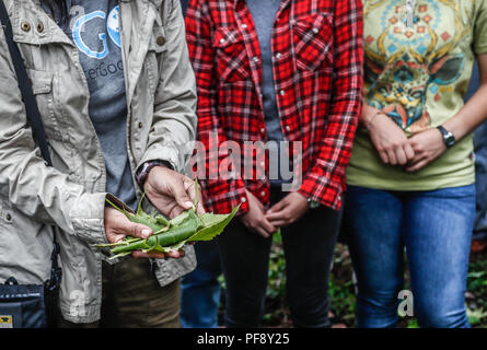Erinnerung an Paul Martin ..... ............... ............... De expedición Entdeckung Madrense GreaterGood ORG que recaba datos que Syrvaine como Información de Direct para entender mejor las Relaciones biológicas del Archipiélago Madrense y se Usan para proteger y conservar las Tierras de las Islas vírgenes Sonorenses Serranas. Binacional Expedición aye une ein colaboradores de México y Estados Unidos con Experiencias y Especialidades de las Ciencias biológicas variadas, con la intención de aprender Lo más posible sobre Mesa de Tres Ríos, La porción más norteña de la Sierra Madre O Stockfoto