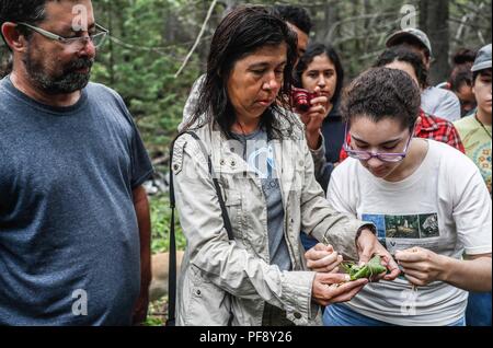 Erinnerung an Paul Martin ..... ............... ............... De expedición Entdeckung Madrense GreaterGood ORG que recaba datos que Syrvaine como Información de Direct para entender mejor las Relaciones biológicas del Archipiélago Madrense y se Usan para proteger y conservar las Tierras de las Islas vírgenes Sonorenses Serranas. Binacional Expedición aye une ein colaboradores de México y Estados Unidos con Experiencias y Especialidades de las Ciencias biológicas variadas, con la intención de aprender Lo más posible sobre Mesa de Tres Ríos, La porción más norteña de la Sierra Madre O Stockfoto