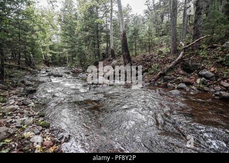 Erinnerung an Paul Martin ..... ............... ............... De expedición Entdeckung Madrense GreaterGood ORG que recaba datos que Syrvaine como Información de Direct para entender mejor las Relaciones biológicas del Archipiélago Madrense y se Usan para proteger y conservar las Tierras de las Islas vírgenes Sonorenses Serranas. Binacional Expedición aye une ein colaboradores de México y Estados Unidos con Experiencias y Especialidades de las Ciencias biológicas variadas, con la intención de aprender Lo más posible sobre Mesa de Tres Ríos, La porción más norteña de la Sierra Madre O Stockfoto