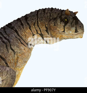 Carnotaurus sastrei Dinosaurier - carnotaurus war eine fleischfressende Theropode Saurier, in Patagonien, Argentinien während der Kreidezeit lebten. Stockfoto