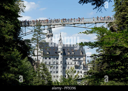 Schloss Neuschwanstein und Marienbruecke (Mary's Bridge), Hohenschwangau, Allgäu, Bayern, Deutschland Stockfoto