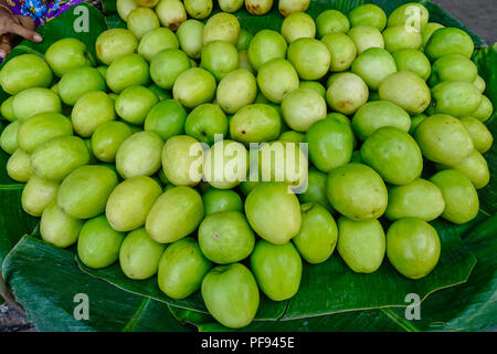 Ziziphus mauritiana (auch als Apple Jujube chinesischen, indischen Pflaume bekannt) für Verkauf an den Markt. Stockfoto