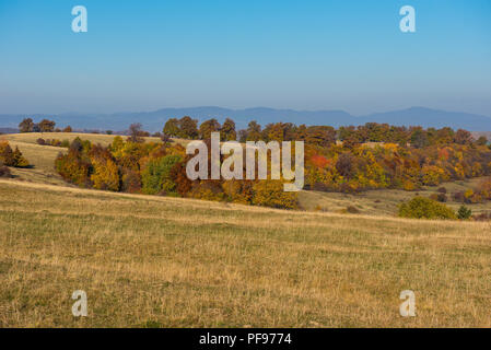 Landschaft des lebhaften herbstlichen Bergwald. Siebenbürgen, Rumänien Stockfoto