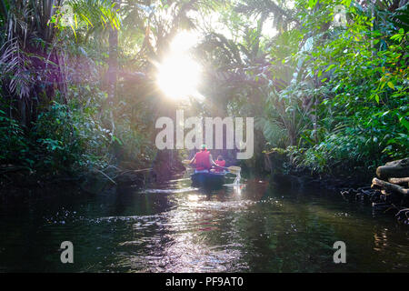 Kanu Ausflug in die wilde Tortugero region Stockfoto