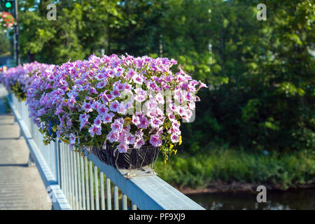 Blumenschmuck auf der kleinen Brücke über Yamaska River an der Rue de la Gare, Dreieich, Eastern Townships, Quebec, Kanada. Stockfoto