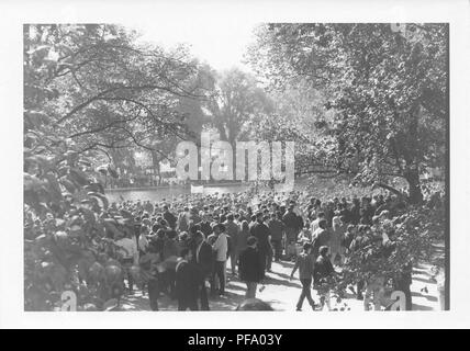 Schwarz-weiß Foto, zeigen eine Anzahl von Menschen stehen und gehen auf beiden Flanken der Lincoln Memorial Reflecting Pool, während einer März den Vietnamkrieg, in Washington DC, USA, 1969 zu protestieren. ()