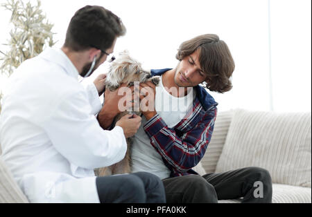 Liebevolle Eigentümer mit einem Yorkshire Terrier im Büro eines Tierarztes Stockfoto