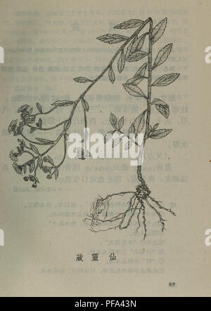 Dieses botanische Werk, das auf Chinesisch geschrieben wurde, erforscht lokale Pflanzenarten, die in der Region Yunnan beheimatet sind, und bietet detaillierte Beschreibungen ihrer Eigenschaften und Verwendungen. Es dient als wertvolle Ressource für Forscher und Praktiker in der traditionellen Medizin und Botanik. Stockfoto