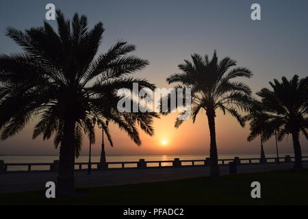 Palmen Silhouette gegen einen dunklen Himmel bei Sonnenuntergang in der Stadt Dammam Stockfoto