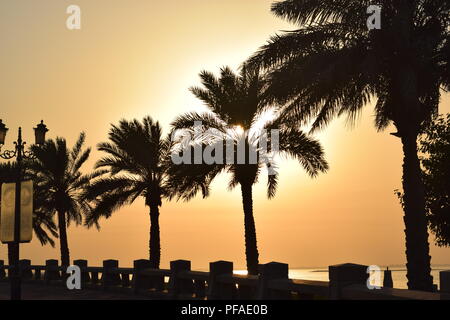 Palmen Silhouette gegen einen dunklen Himmel bei Sonnenuntergang in der Stadt Dammam Stockfoto