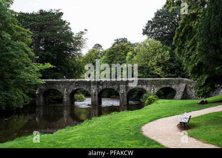 Deerpark Brücke in Antrim Schlossgärten Stockfoto