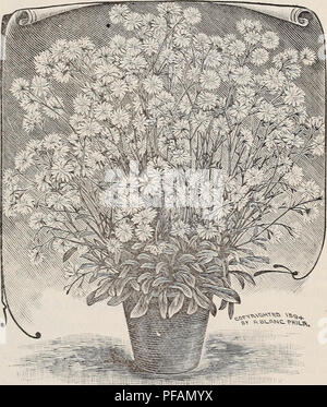 Die „Deskriptive List of Plants“ ist ein Katalog von Zierpflanzen und Gemüsepflanzen, der sich auf Baumschulen in New Hampshire konzentriert. Es enthält Beschreibungen verschiedener Blumen, Gemüse und Zierpflanzen zum Verkauf, mit Details über deren Anbau und Eignung für verschiedene Klimazonen. Stockfoto