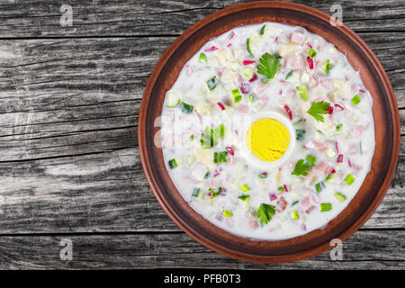 Huhn, grünen und Gemüse kalte No-Cook Suppe mit griechischer Joghurt in Ton Schüssel. Ansicht von oben, close-up, leeren Raum links Stockfoto