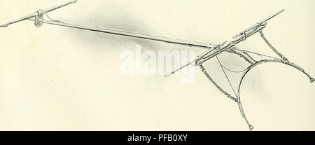 . Designer Builder, hochwertige Kutschen. H. A. Moyer Wagen (Syracuse, N.Y.); Pferde; Schlitten Hersteller und Händler -- New York (State) Syrakus. Single Bend Light Buggy Pol. Double Bend Surrey Pol 86. Bitte beachten Sie, dass diese Bilder sind von der gescannten Seite Bilder, die digital für die Lesbarkeit verbessert haben mögen - Färbung und Aussehen dieser Abbildungen können nicht perfekt dem Original ähneln. extrahiert. H. A. Moyer Wagen (Syracuse, N.Y.). In Syracuse, N.Y.: H. A. Moyer Stockfoto