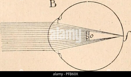 . Wörterbuch de Physiologie. Physiologie. Abb. 63.. Bitte beachten Sie, dass diese Bilder sind von der gescannten Seite Bilder, die digital für die Lesbarkeit verbessert haben mögen - Färbung und Aussehen dieser Abbildungen können nicht perfekt dem Original ähneln. extrahiert. Richet, Charles Robert, 1850-1935; Langlois, Paul, 1862; Lapicque, Louis. Alcan Paris: F. Stockfoto