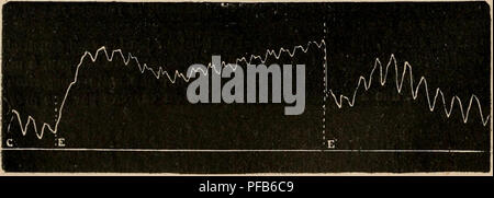 Dieses Bild zeigt physiologische Prinzipien in Bezug auf Nervenfunktion und Traumaresistenz, wie im „Dictionnaire de Physiologie“ beschrieben. Der Text untersucht Nervenenergie, Kreislaufreaktionen während der Asphyxie und periphere Kreislaufantagonismen. Die Abbildungen enthalten detaillierte anatomische Darstellungen von Nerven und Organen in Bezug auf Traumata. Die Arbeit betont die komplizierte Beziehung zwischen nervöser Energie und äußerer Belastung. Stockfoto
