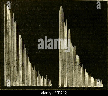 Dieses Wörterbuch über Physiologie konzentriert sich auf die Untersuchung von Müdigkeit, insbesondere ihre Auswirkungen auf Muskelkontraktion und geistige Leistungsfähigkeit. Es beschreibt Experimente, die über die Auswirkungen von Müdigkeit auf körperliche und psychische Reaktionen durchgeführt wurden, und bietet einen wissenschaftlichen Ansatz zum Verständnis der menschlichen Ausdauer. Stockfoto
