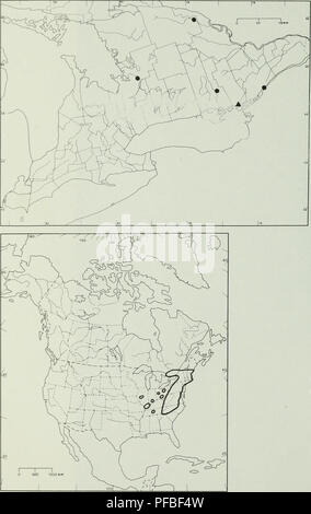 . Beschreibung und Analyse der vaskulären Flora des Cataraqui Marsh Gebiet.. Marsh flora; Feuchtgebiet Flora; Wasserpflanzen; Botanik; Botanique; Flore de Marais. - 62 - Abbildung 8. Verteilung von Juncus secundus (One-Seite Rush) in Ontario (oben) und Nordamerika (unten). Die Cataraqui Marsh Gebiet ist mit einem Dreieck dargestellt. Die obere Karte ist auf der Grundlage von herbariumsexemplaren (Punkte). Die unteren Übersichtskarte auf den Informationen, die für die 4. Auflage des Atlas der seltenen Pflanzen von Ontario gesammelt wurden.. Bitte beachten Sie, dass diese Bilder aus gescannten Seite Bilder, digitall wurden extrahiert werden Stockfoto