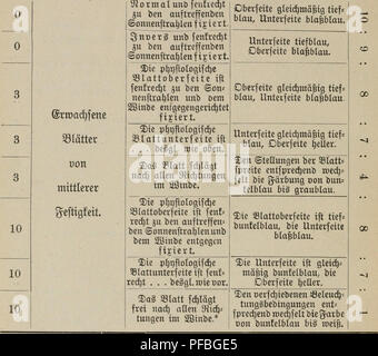 . Der Wind als pflanzenpathologischer Faktor. Pflanzen, Pflanzenkrankheiten. - 42 m S3 teibun efrf) 9 S 3 Iatte § Sic^ tlage unb3} er=t) alten § 33 Iatte § im2 ßinbe O^ ätbung ber Samirta werden. "W Jj 10 10 3 ttipatien $ Parviflora. 5) "ßetfud Jli. 23.. fjcfte bidfe © onnen=blattet. 3}er [ud) 3 LR. 24. Slormal. © leidimä^ ig tiefblau. S^Ormal. § Gl. ^^ in orijontal = unb^ erfc^ joingenb. * S^ormal fixiert. beSgl. § gl.. Bitte beachten Sie, dass diese Bilder aus gescannten Seite Bilder, die digital für die Lesbarkeit verbessert haben mögen - Färbung und Aussehen dieser Abbildungen können nicht Perfekt ähneln den extrahiert werden Stockfoto