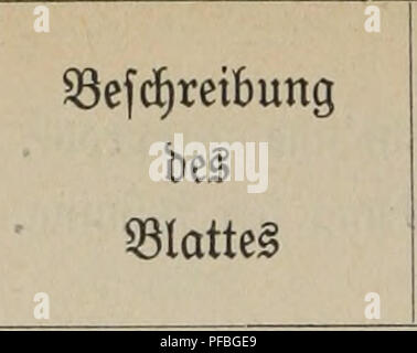 . Der Wind als pflanzenpathologischer Faktor. Pflanzen, Pflanzenkrankheiten. - 40 - twiO s; B"^. Ä JO'S s. s®" So m^. Si (^ tlage unb SSer - sprang §^ latteS werden im SBinbe@ad)§' [ci^e^obproBc. Färbung ber Samina. 10 Zea tttais. SScrfu^ Dir. 16. 0 iölätter oon mittleren^ onfiftetiä. Sflormal fixiert. @ Iet (^ mä^tg tiefblau. § Untcrfeitc Dberfeitc bunfter al. 1 -* o 3 § gl werden. § Gl. CO10 § gl. beSgl. CD aSerfu^ mx. 17. o! Iölätter Don mittleren tonfiftens. ^ nt) Äh § fixiert. ® ie iologifc plujj'^c Unter "feite ift tiefbunfelblau ge = färbt; bie Dberfeite ift blapiau. o 3 § Gl. CD 10 § Gl. CO Stnpatiens par Stockfoto