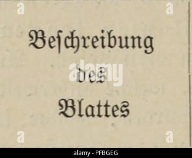 . Der Wind als pflanzenpathologischer Faktor. Pflanzen, Pflanzenkrankheiten. 36 in Suftrul^e affimiliert I) atte, Cr{) ie (t bie 3 Ser {) Ã¤ltnil 5a![) l 10; bie burdjfd^ nitt - Deckel^e ÃorngrÃ¶^e ber â anberen^ ebingungen unterroorfenen 33 lÃ ¤ ttei" rourbe mit ber Wenn) r jeroeilig jufommenben 33 ert) Ã¤ItniÂ § 5} Ich eine bie normale^^e angeglid orngrÃ¶) en, Joba^ bie relatiÃ¶ e^ ntenfitÃ¤t ber StÃ¤rfebilbung ber gu Der = gleid^ enben BlÃ¤tter in O^ orm einer Anteil tlid erfic^^ ift. (9 ftuBrif^r. 5.) 3u biefen 93 erfud) en oermenbete Id) au 6 [d) Iie^ Iic^2; Ã¶ Kreuzer fultioierte gefunbe unb Darm bemÃ¤fferte^ flanjen, um b Stockfoto