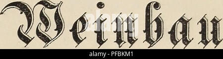 . Der rationelle Weingut und die weinbereitungs- lehre, mit einem Anhang u?ber den Einfluss der climatischen Verha?ltnisse in den Weingut. Weinbau, Wein und Wein. 2) e r. u n b b i e 2 Seiukreüuttg § = Se | rc mit einem jln () ang über treu €) lup tjtx ümaüfd ^ tn Derijältniffe UDetubau in treu. - © Der ameral Serit "alter in äßetn § 6 erg, Mölteb ber toürttembergifd^en 2 SSeint&gt; erbefferung §: © e [eKjd^ aft, jotüie t) erfc^ iebener anbcrer aftüd lanbipirtl^ fd ^^ Er@e [eEjc^ aften wnb S3 Ereine. pcti^ dnproöuscnfen unb^ cin-^^, farptc ommcrätanfen pcuffdjfanb trcitnbeu öe äffen^^ pänßaue 5 "nö Einc $ reinen"^ af Stockfoto