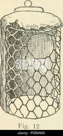 . Der ornithologische Beobachter. Vögel, Vögel. 6, ein Nistkasten eigener Art, der bezüglich Widerstands-fähigkeit dem Vorgenannten nicht nachsteht, unterstützt dabei, Herr Ernst Meier in Rüti (Kanton Zürich) in den Handel. This Steintilz - nisthöhlcn bestehen aus einem festen Drahtgerüst (Abb. 12), um. Bitte beachten Sie, dass diese Bilder sind von der gescannten Seite Bilder, die digital für die Lesbarkeit verbessert haben mögen - Färbung und Aussehen dieser Abbildungen können nicht perfekt dem Original ähneln. extrahiert. Ala, Schweizerische Gesellschaft felkunde und Vogelschutz. [Bern?, Ala, Schweizerisch Stockfoto