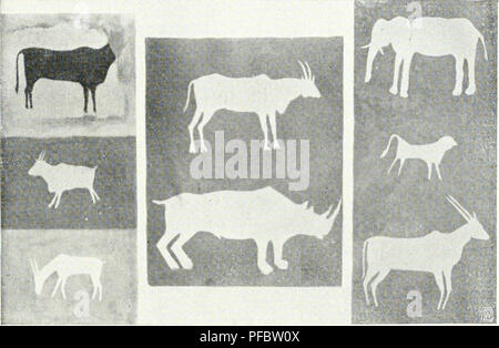 Diese Arbeit erforscht die Kultur- und Naturlandschaft der Region und konzentriert sich auf das Verhältnis zwischen menschlichem Handeln und der Widerstandsfähigkeit der Natur, insbesondere in modernen landwirtschaftlichen Praktiken. Stockfoto