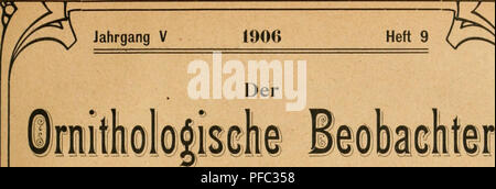 . Der ornithologische Beobachter. Vögel, Vögel. Jahrgang V 1906 Heft 9. Bitte beachten Sie, dass diese Bilder sind von der gescannten Seite Bilder, die digital für die Lesbarkeit verbessert haben mögen - Färbung und Aussehen dieser Abbildungen können nicht perfekt dem Original ähneln. extrahiert. Ala, Schweizerische Gesellschaft felkunde und Vogelschutz. [Bern?, Ala, Schweizerische Gesellschaft felkunde und Vogelschutz] Stockfoto