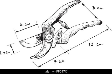 Abbildung: Handgezeichnete Skizze Dimension der Baum-, Reb-, Gartenscheren, Baumscheren Hand Gartenschere oder. Ein Garten Werkzeug verwendet zum Schneiden, Entfernen und Verkleidung Branchen Stock Vektor