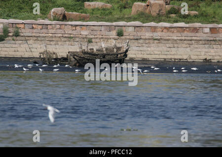 Qingdao, Qingdao, China. 21 Aug, 2018. Qingdao, China - Reiher und Vögel Fische fangen an einem Fluss in Qingdao, in der ostchinesischen Provinz Shandong. Credit: SIPA Asien/ZUMA Draht/Alamy leben Nachrichten Stockfoto