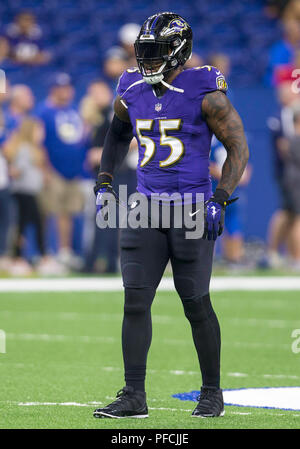 August 20, 2018: Baltimore Ravens linebacker Terrell Suggs (55) Während der NFL Football preseason Spiel Aktion zwischen der Baltimore Ravens und die Indianapolis Colts im Lucas Oil Stadium in Indianapolis, Indiana. Baltimore besiegt Indianapolis20-19. Johann Mersits/CSM. Stockfoto